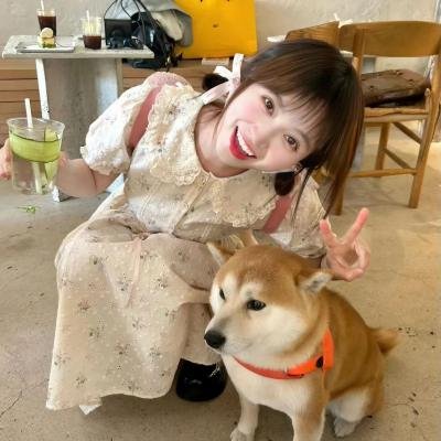 三嫁惹君心